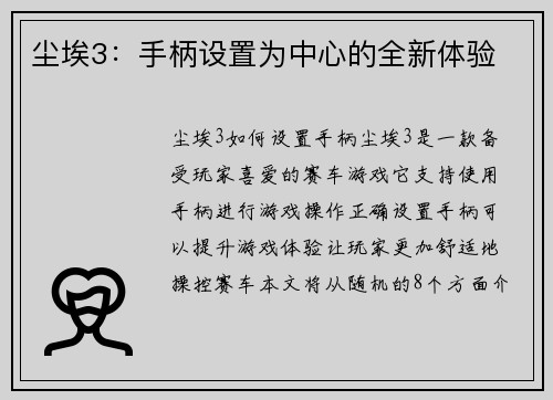尘埃3：手柄设置为中心的全新体验